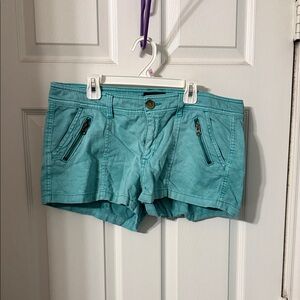 American Eagle Outfitters Teal Cargo Shorts